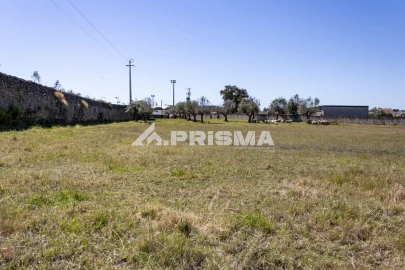 Terreno para Venda em Alcains