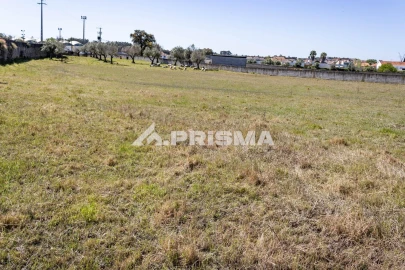 Terreno para Venda em Alcains