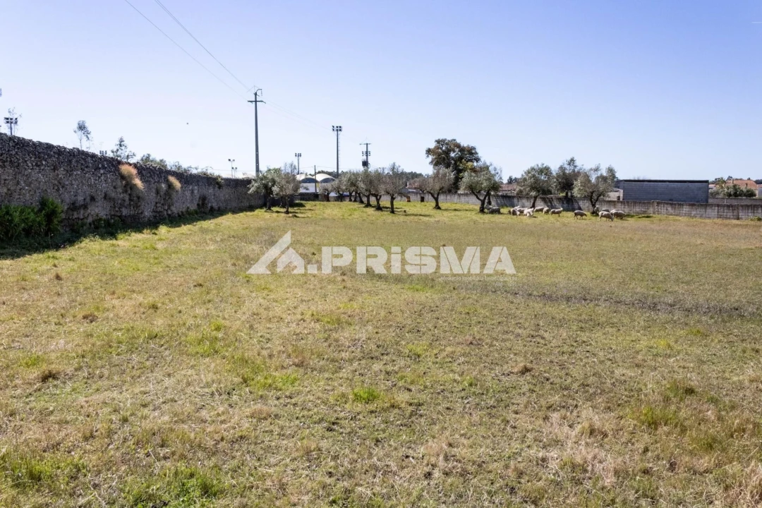 Terreno para Venda em Alcains Foto 10