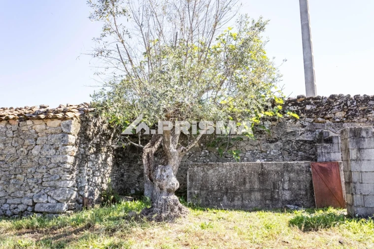 Terreno para Venda em Alcains Foto 7