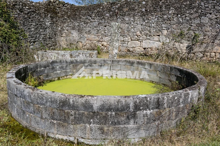 Terreno para Venda em Alcains Foto 18