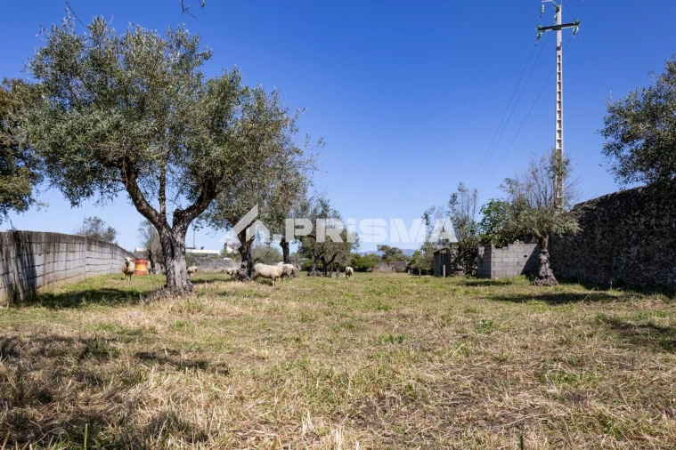 Terreno para Venda em Alcains Foto 5