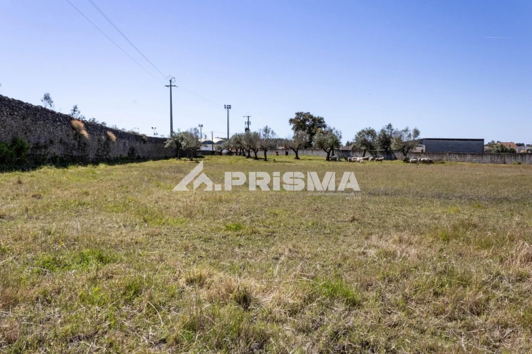 Terreno para Venda em Alcains Foto 11