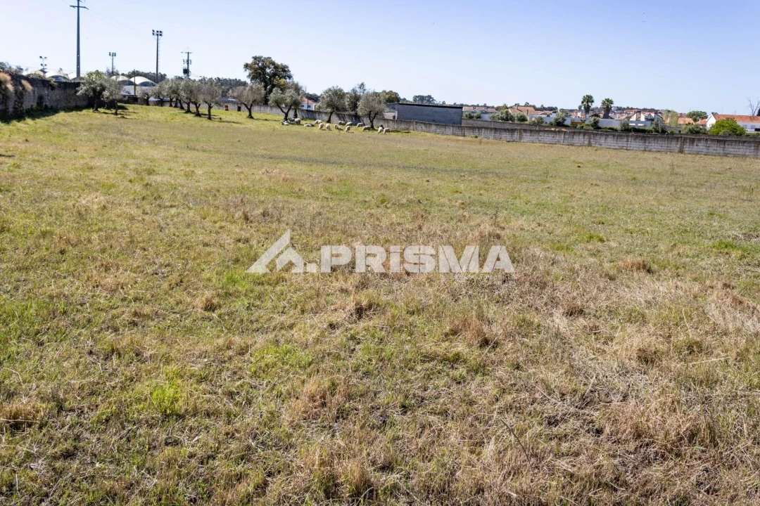 Terreno para Venda em Alcains Foto 17