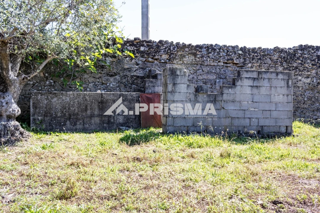 Terreno para Venda em Alcains Foto 6