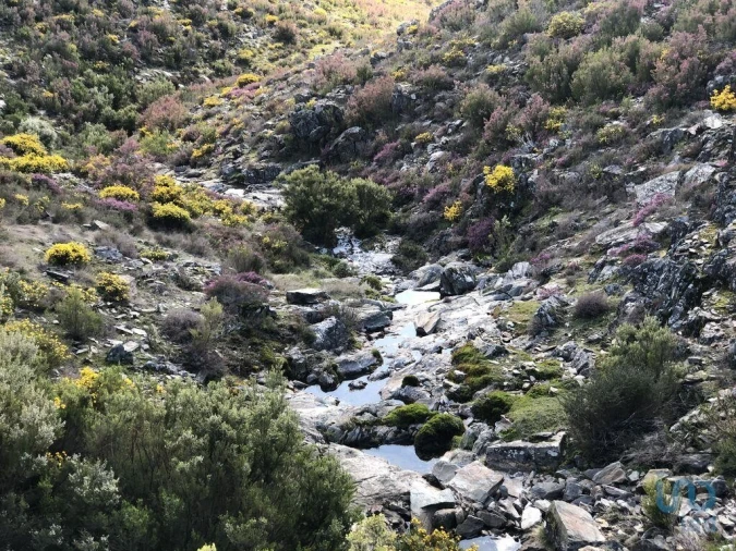 Moradia T2 para Venda em Carvalhais e Candal Foto 11