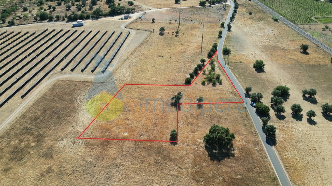Terreno Agricola ou Rústico para Venda em Algoz e Tunes Foto 3