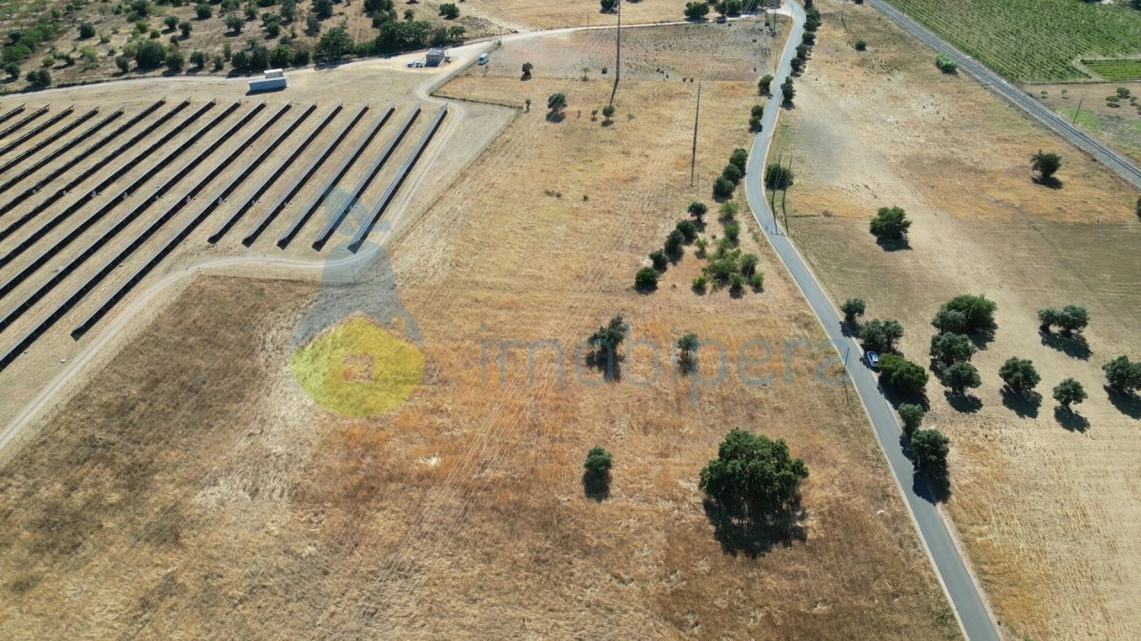 Terreno Agricola ou Rústico para Venda em Algoz e Tunes Foto 4