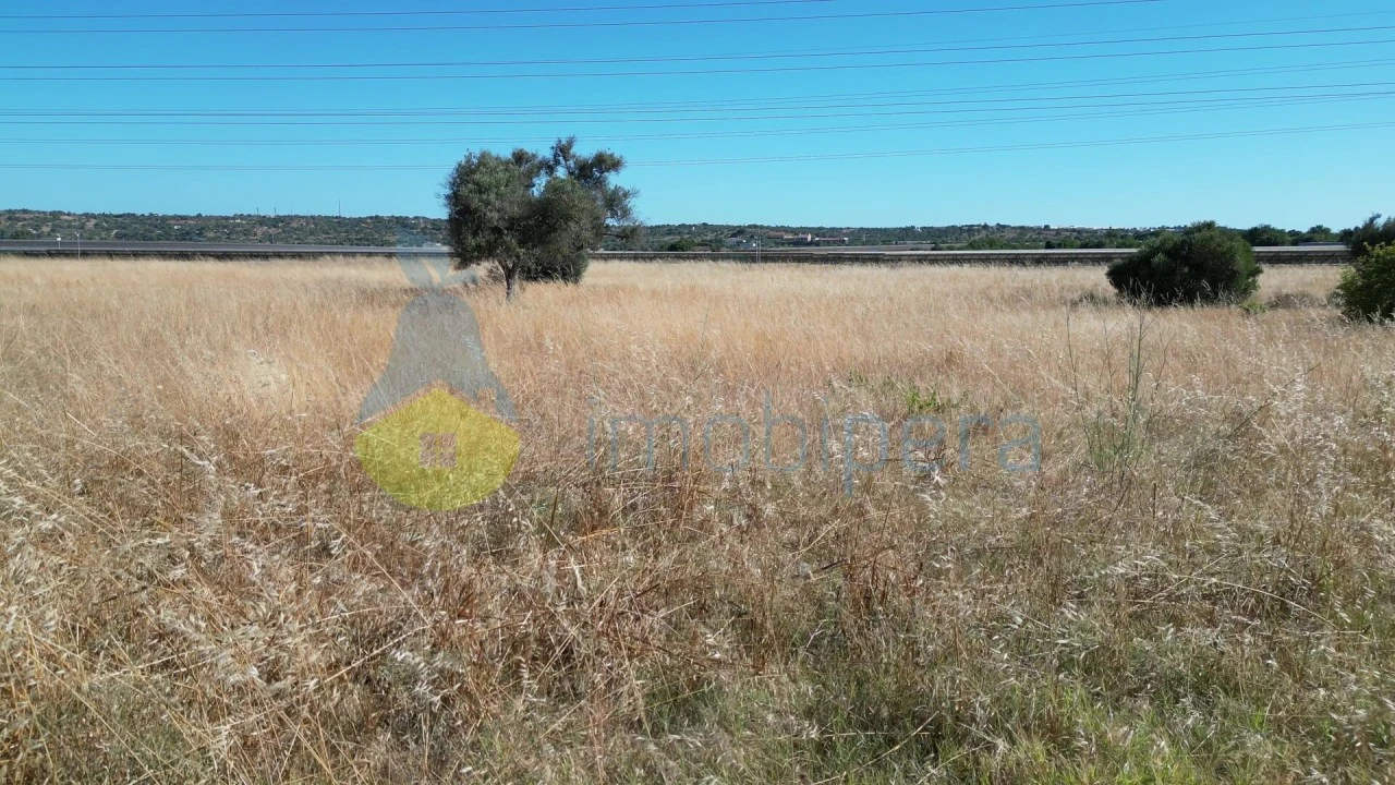 Terreno Agricola ou Rústico para Venda em Algoz e Tunes Foto 9
