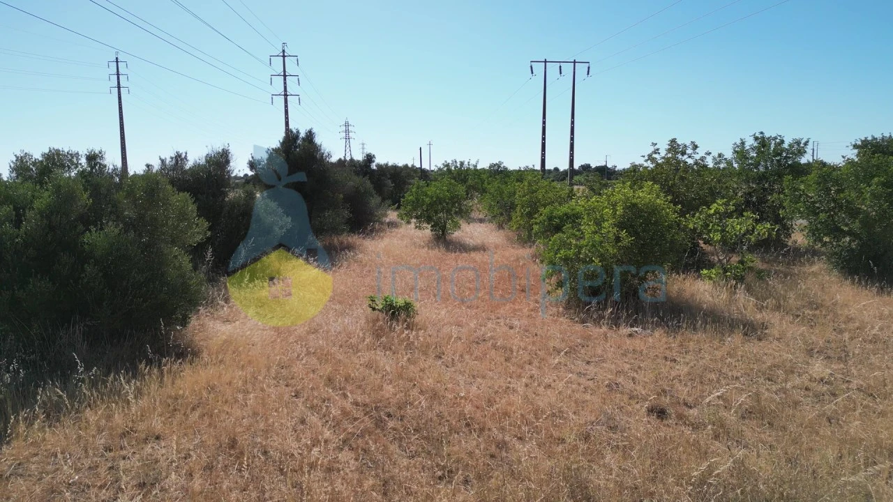 Terreno Agricola ou Rústico para Venda em Algoz e Tunes Foto 11