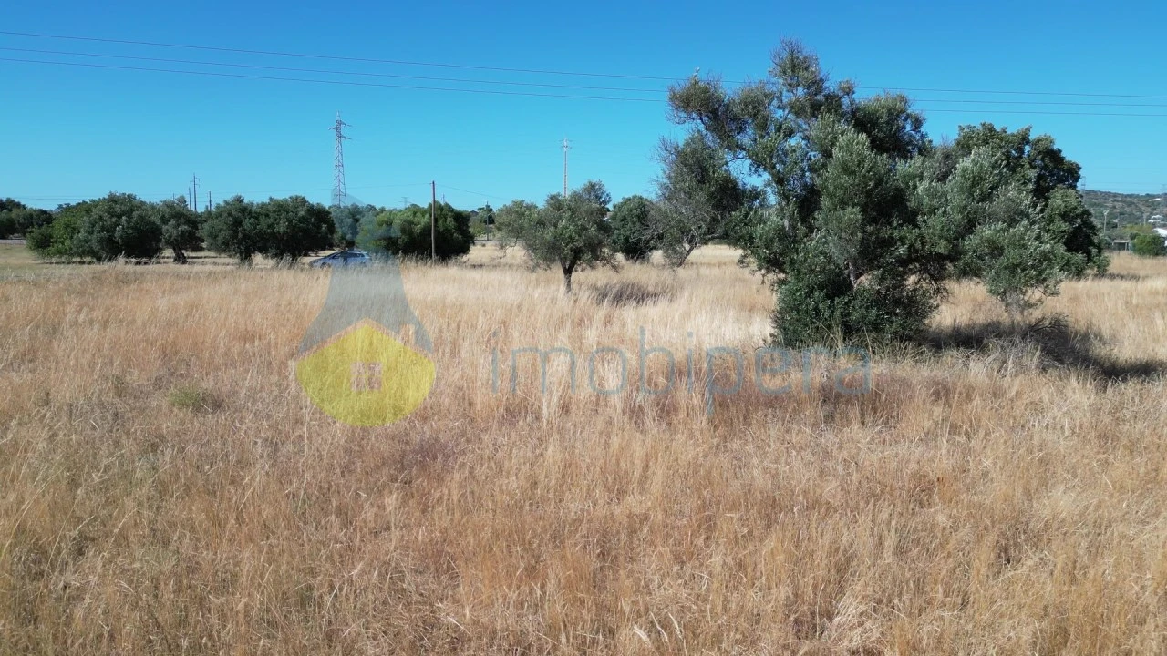 Terreno Agricola ou Rústico para Venda em Algoz e Tunes Foto 12