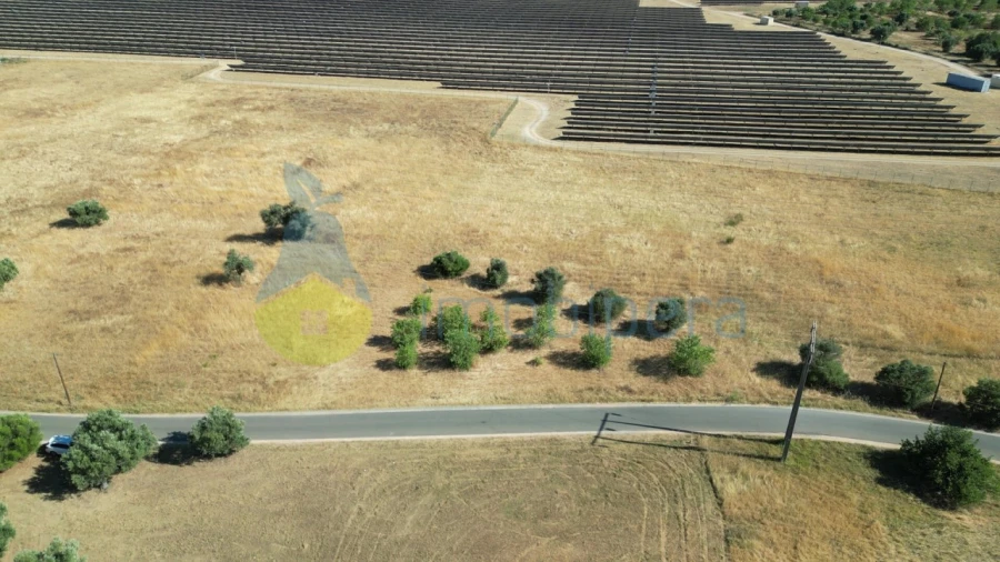 Terreno Agricola ou Rústico para Venda em Algoz e Tunes Foto 2