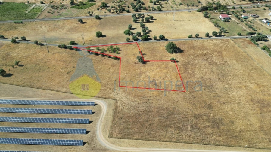 Terreno Agricola ou Rústico para Venda em Algoz e Tunes Foto 5