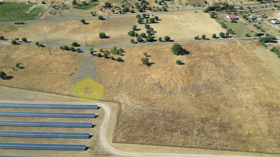 Terreno Agricola ou Rústico para Venda em Algoz e Tunes Foto 6