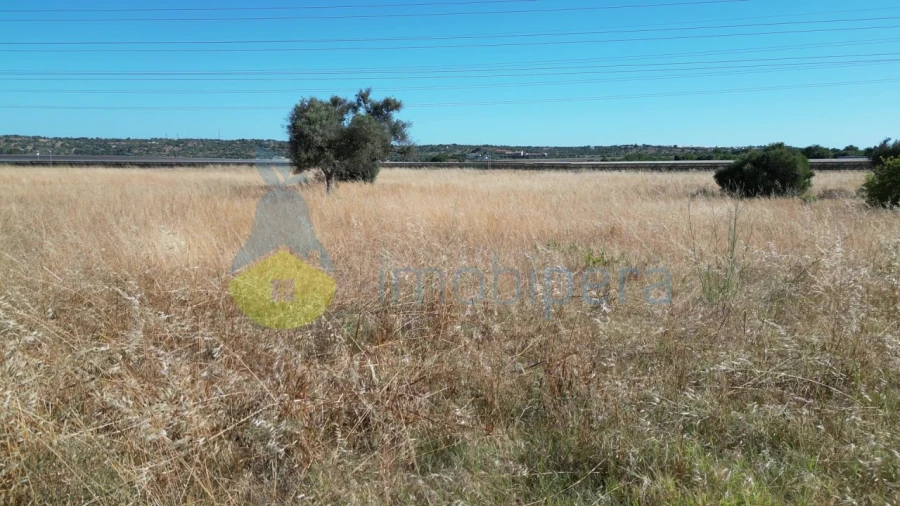 Terreno Agricola ou Rústico para Venda em Algoz e Tunes Foto 9