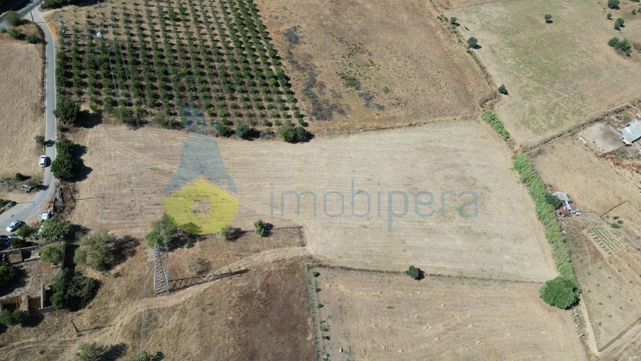 Terreno Agricola ou Rústico para Venda em Algoz e Tunes Foto 4