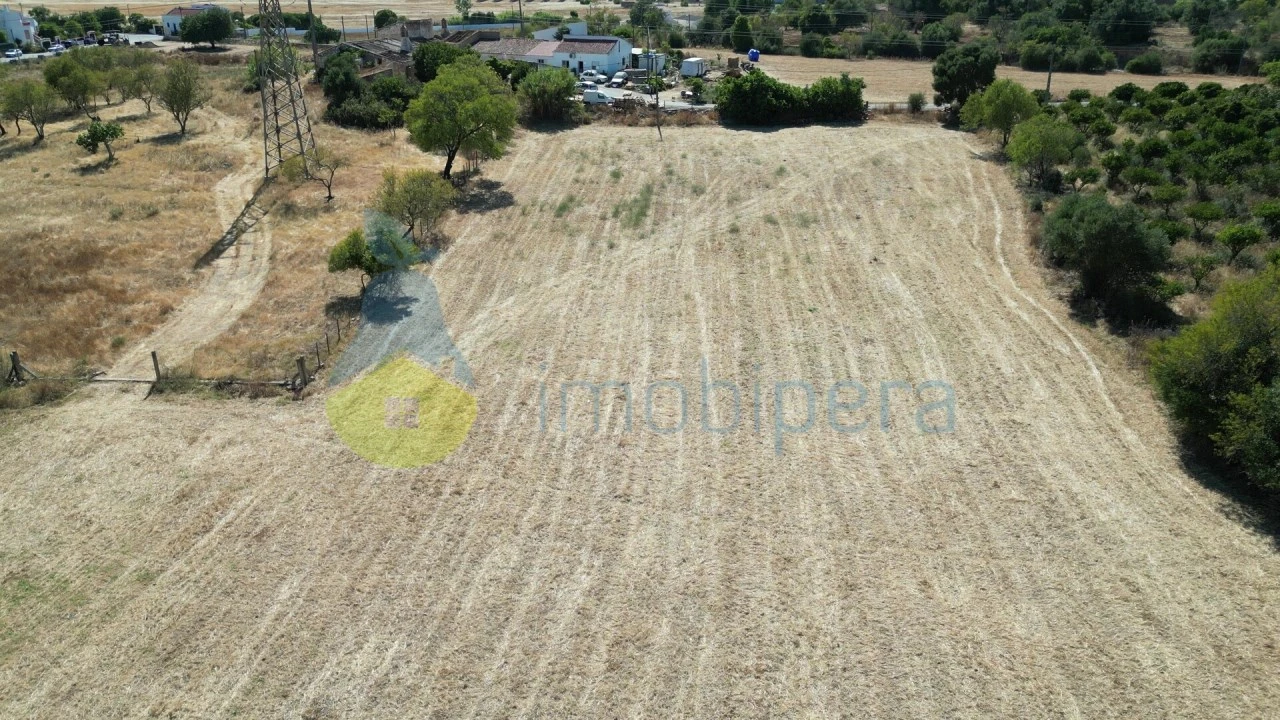 Terreno Agricola ou Rústico para Venda em Algoz e Tunes Foto 5