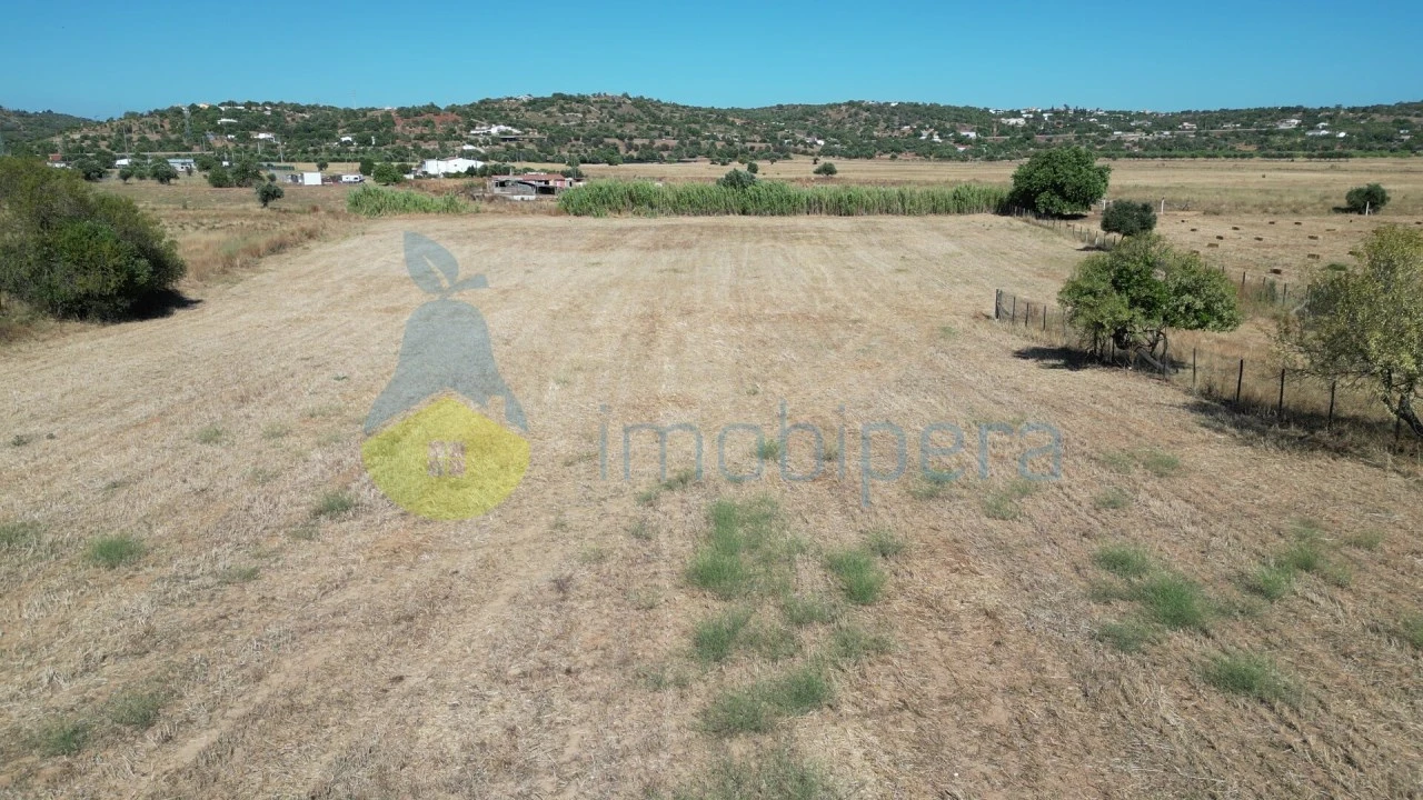 Terreno Agricola ou Rústico para Venda em Algoz e Tunes Foto 6