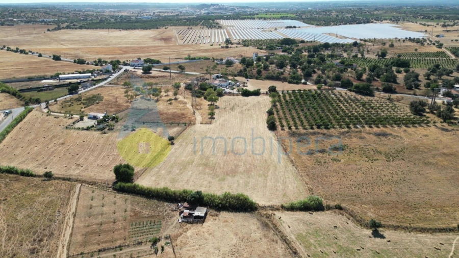 Terreno Agricola ou Rústico para Venda em Algoz e Tunes Foto 2