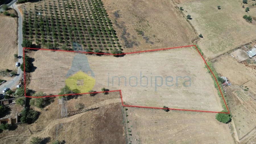 Terreno Agricola ou Rústico para Venda em Algoz e Tunes Foto 3