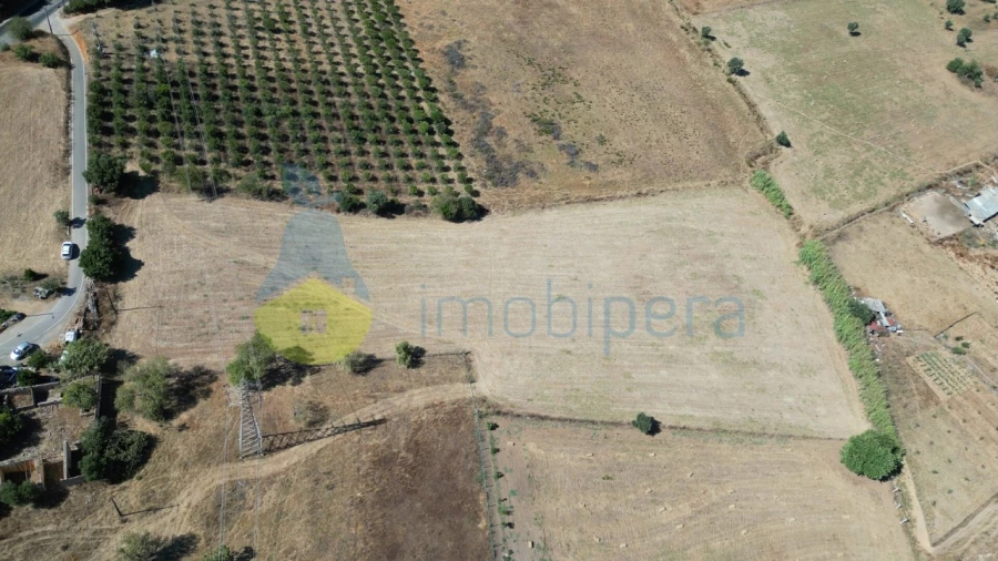 Terreno Agricola ou Rústico para Venda em Algoz e Tunes Foto 4