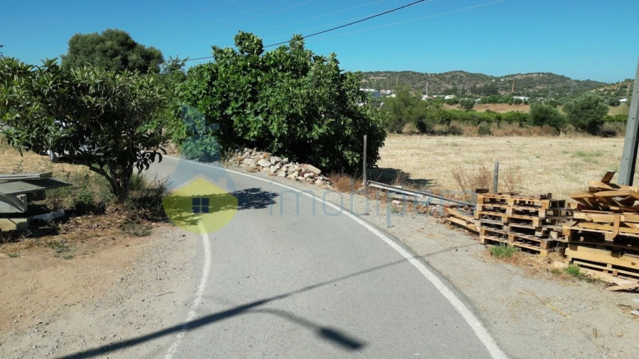 Terreno Agricola ou Rústico para Venda em Algoz e Tunes Foto 7
