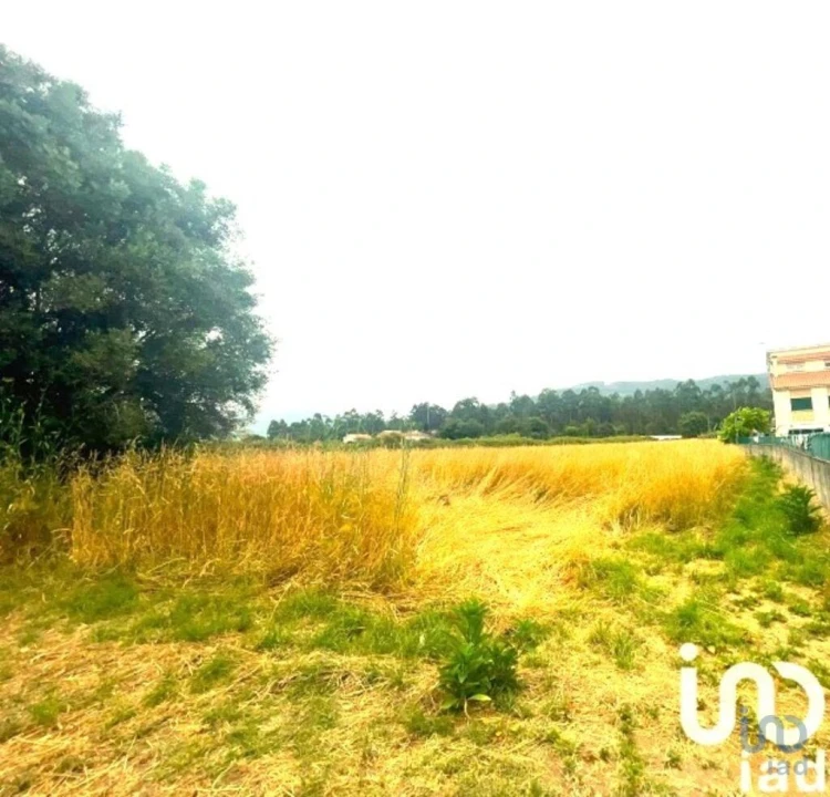 Loja para Venda em Geraz do Lima (Santa Maria, Santa Leocádia, Moreira), Deão Foto 3