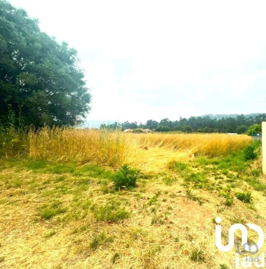 Loja para Venda em Geraz do Lima (Santa Maria, Santa Leocádia, Moreira), Deão Foto 2