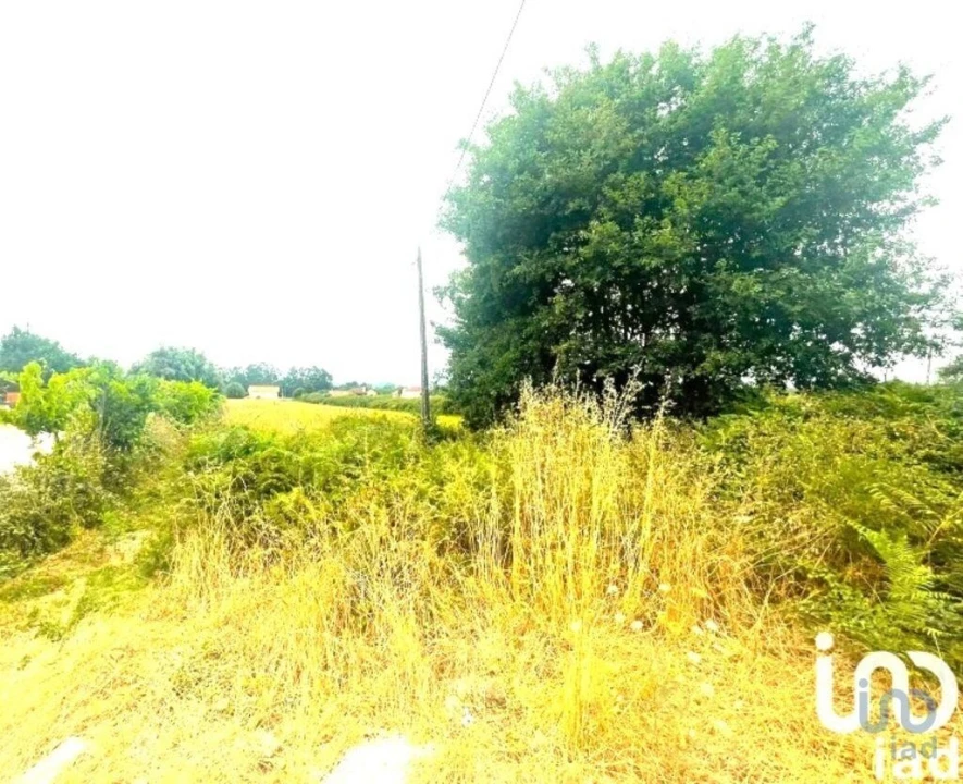 Loja para Venda em Geraz do Lima (Santa Maria, Santa Leocádia, Moreira), Deão Foto 1