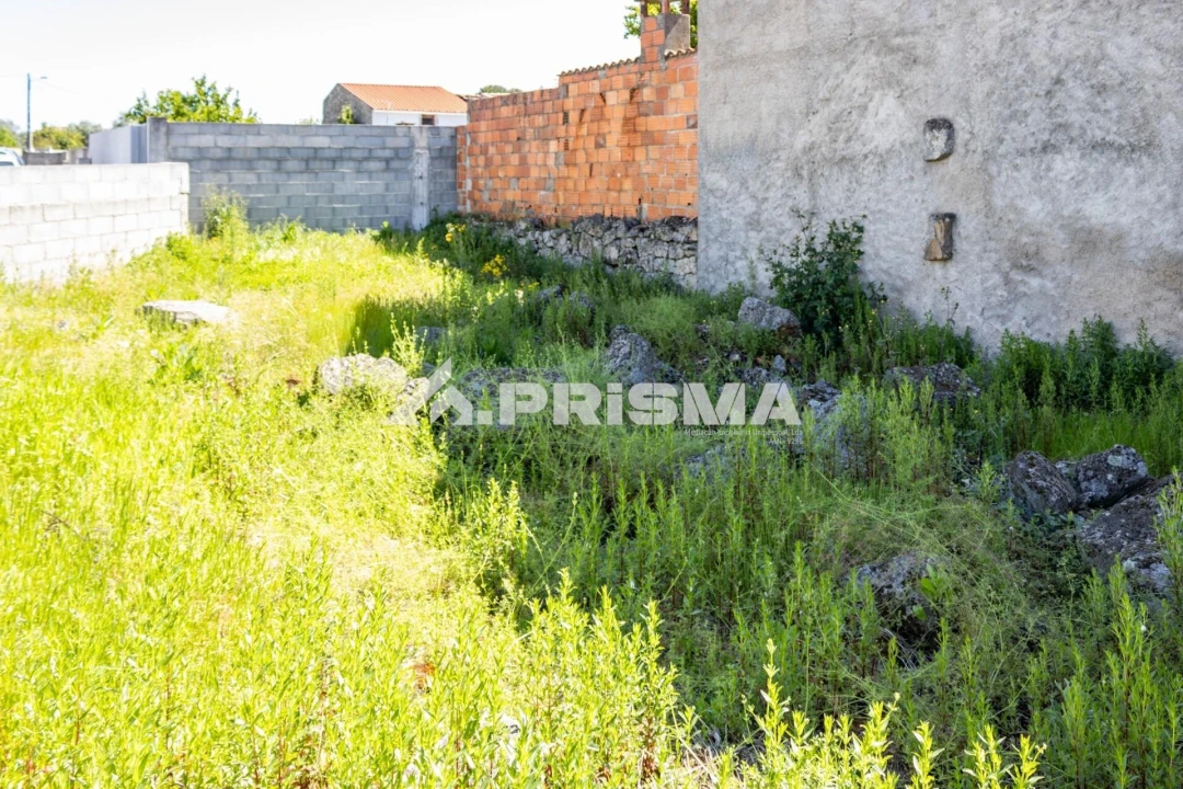 Terreno para Venda em Alcains Foto 6