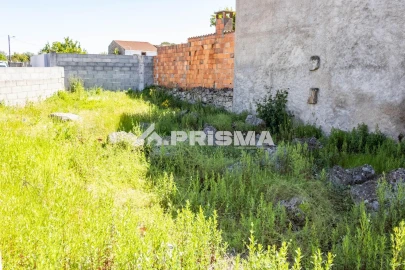 Terreno para Venda em Alcains