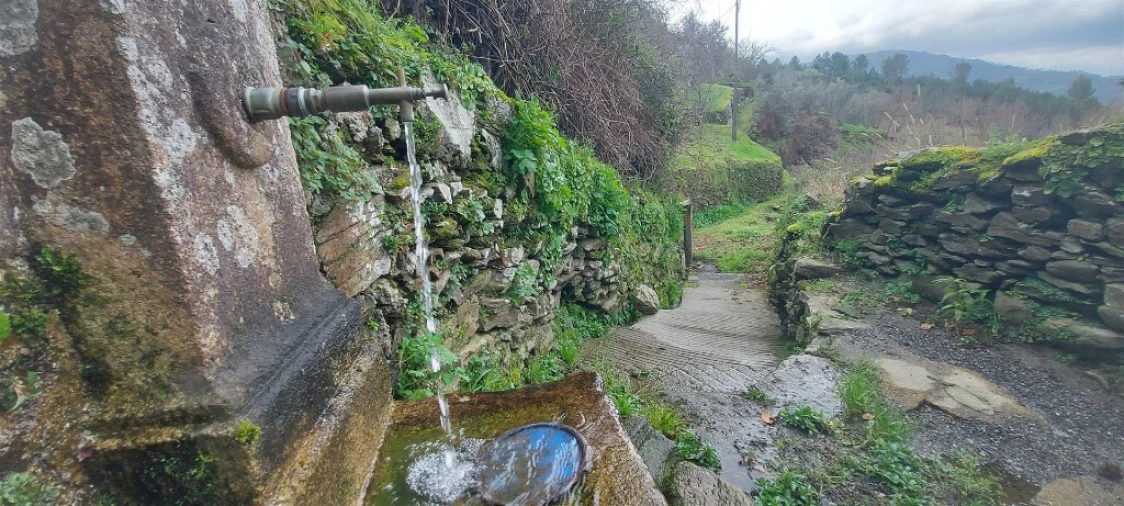 Moradia T5 para Venda em Sandomil Foto 5