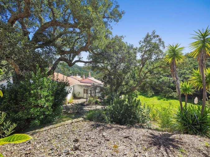 Moradia T5 para Venda em Monchique Foto 36