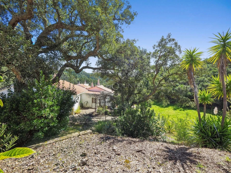 Moradia T5 para Venda em Monchique Foto 36