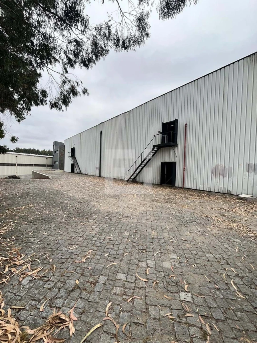 Negócio para Arrendamento em Paços de Ferreira Foto 15