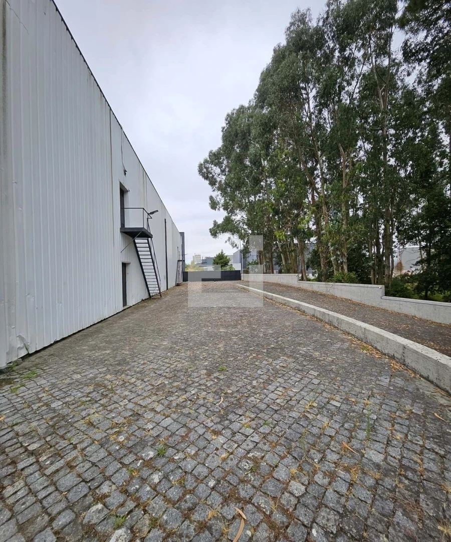 Negócio para Arrendamento em Paços de Ferreira Foto 14