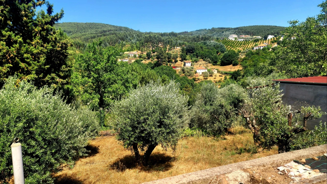 Moradia T2 para Venda em Pedrogão Grande Foto 26