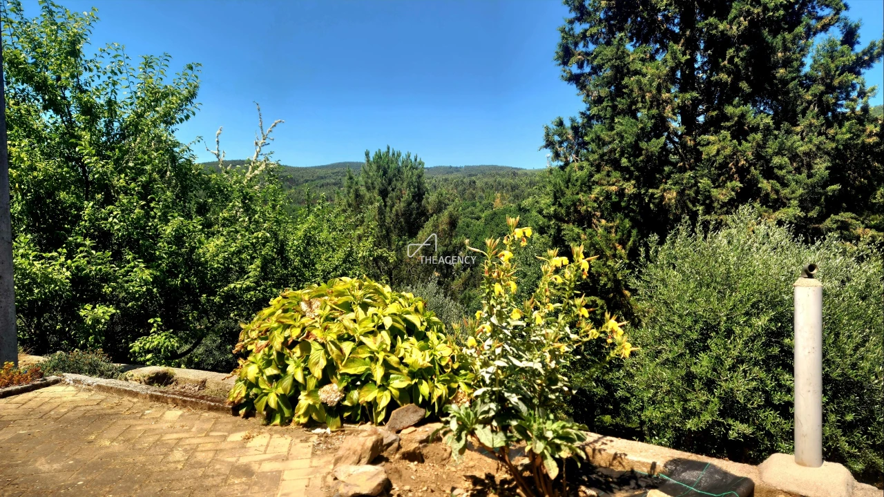 Moradia T2 para Venda em Pedrogão Grande Foto 25