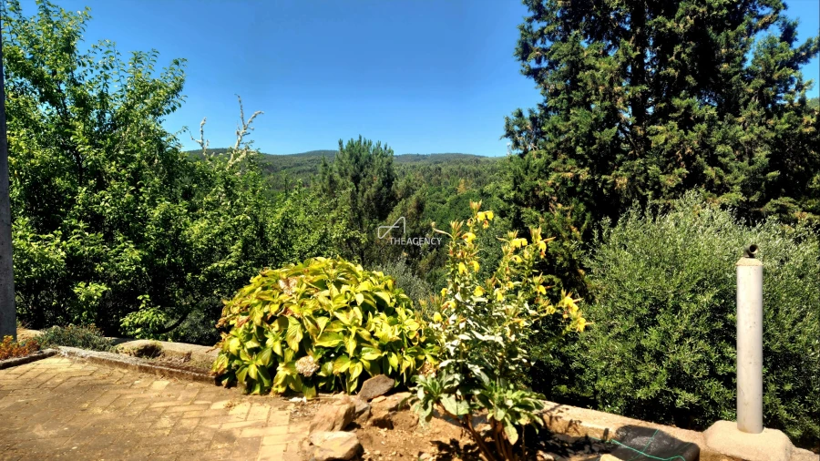 Moradia T2 para Venda em Pedrogão Grande Foto 25