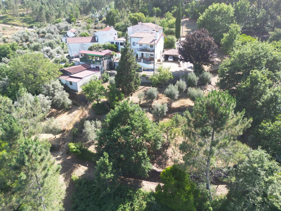 Moradia T2 para Venda em Pedrogão Grande Foto 30