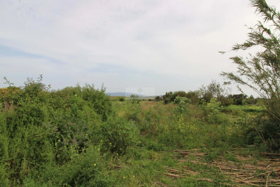 Terreno para Venda em Odiaxere Foto 9