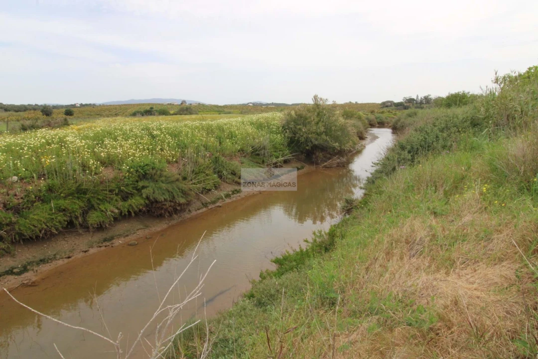 Terreno para Venda em Odiaxere Foto 13