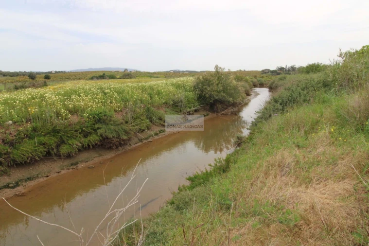 Terreno para Venda em Odiaxere Foto 13
