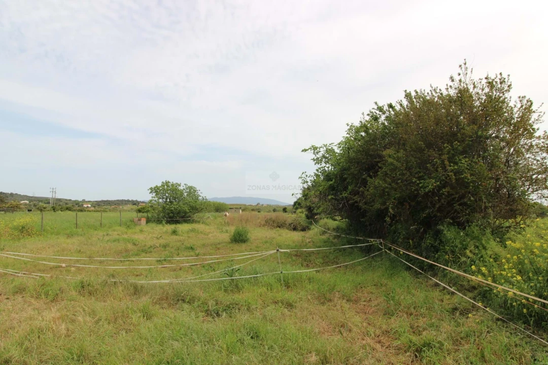 Terreno para Venda em Odiaxere Foto 11