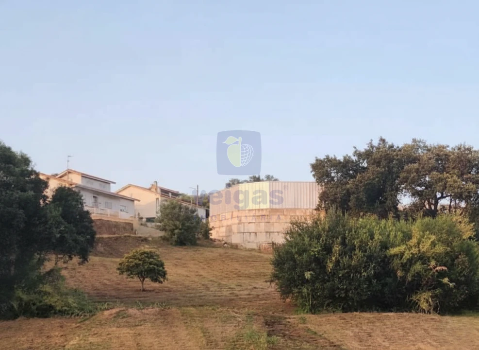 Terreno para Venda em Leiria, Pousos, Barreira e Cortes Foto 7