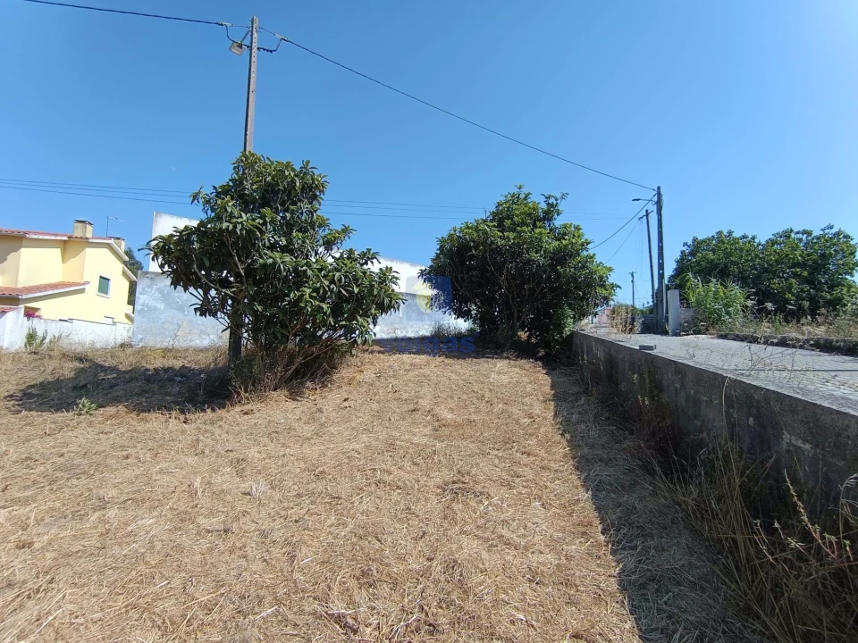 Terreno para Venda em Tornada e Salir do Porto Foto 9