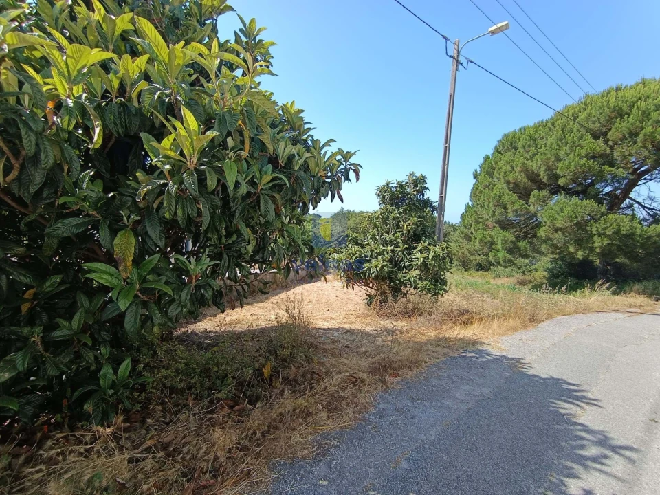 Terreno para Venda em Tornada e Salir do Porto Foto 1