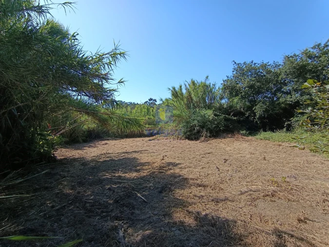 Terreno para Venda em Tornada e Salir do Porto Foto 4