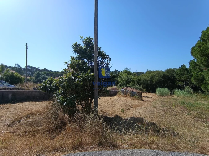 Terreno para Venda em Tornada e Salir do Porto Foto 8