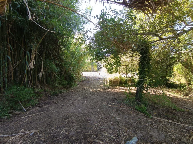 Terreno para Venda em Tornada e Salir do Porto Foto 5